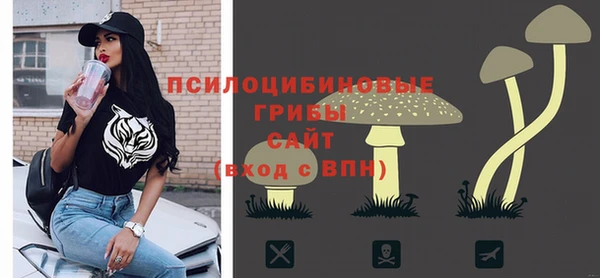 ГАЛЛЮЦИНОГЕННЫЕ ГРИБЫ Алзамай