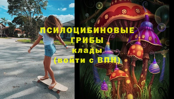 амф Алексеевка
