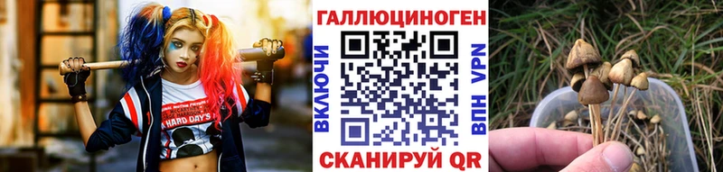 где купить наркоту  Северская  Галлюциногенные грибы Magic Shrooms 